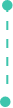 organizacja